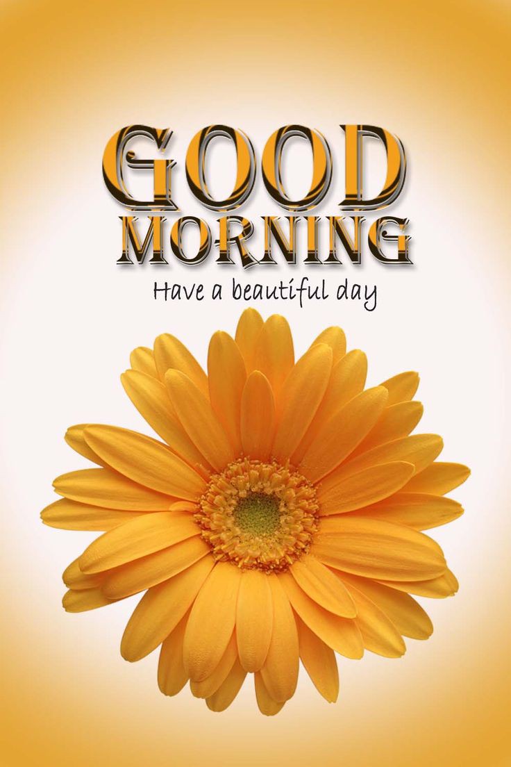 Good Morning Images New Style Good Morning Images New Style