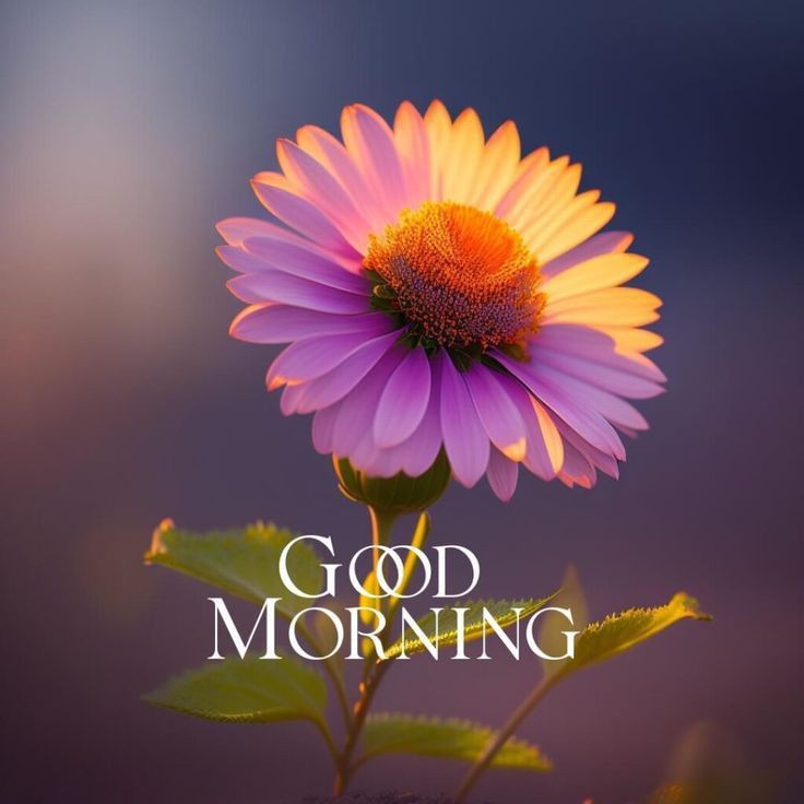 Good Morning Images New Style Good Morning Images New Style