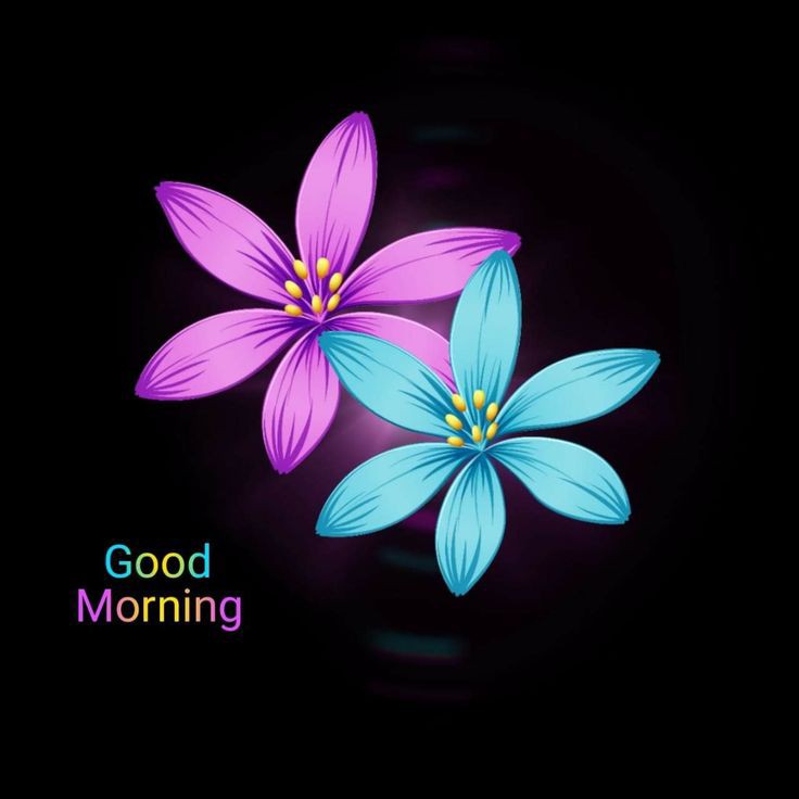 Good Morning Images New Style Good Morning Images New Style