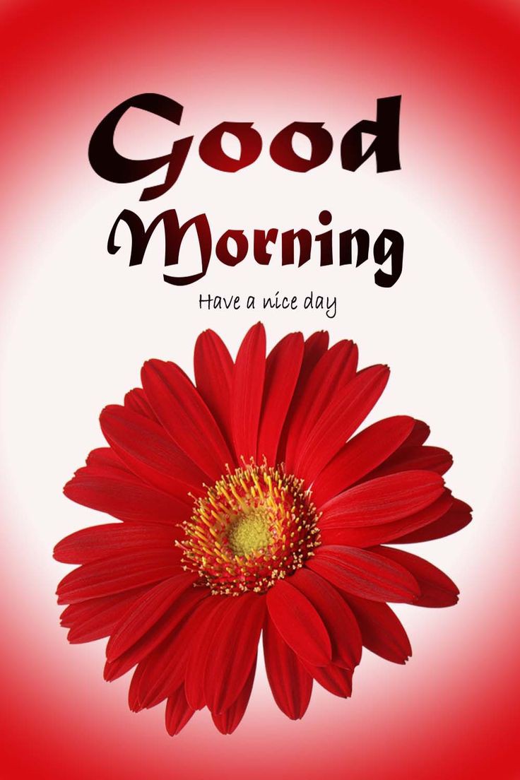 Good Morning Images New Style Good Morning Images New Style