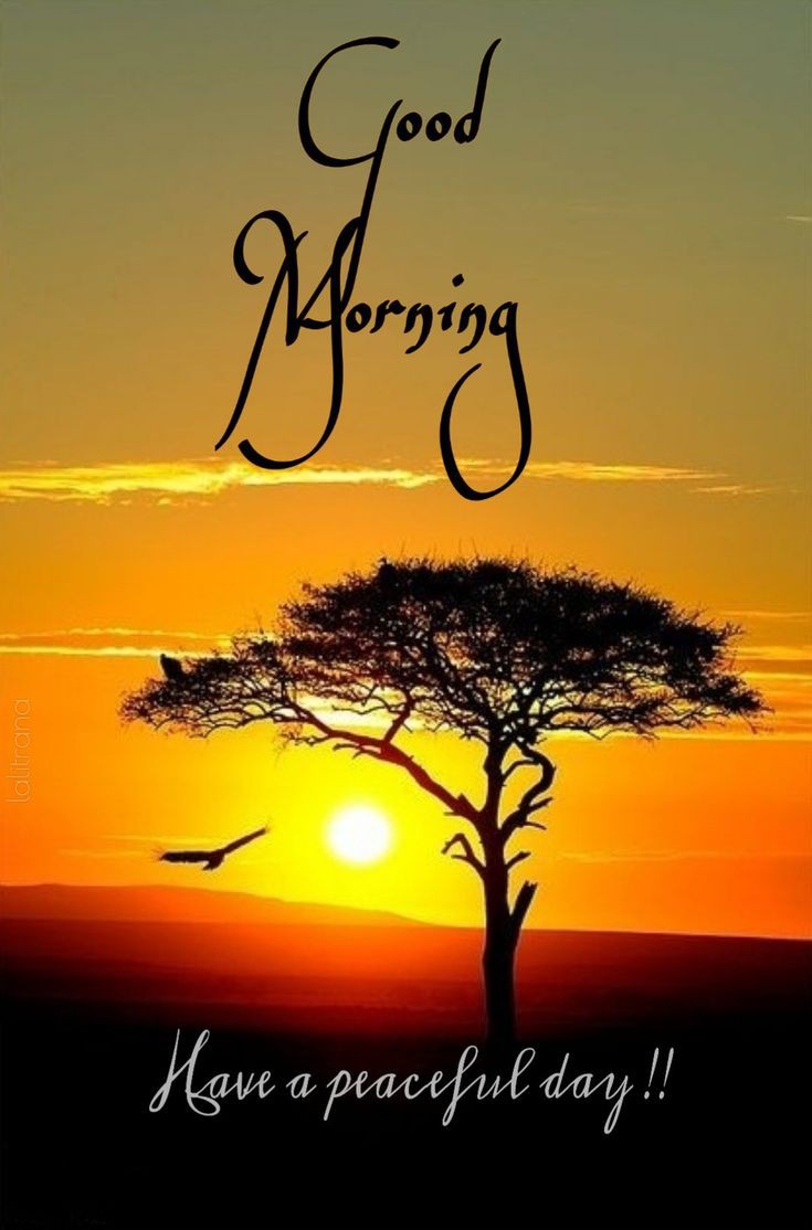 Good Morning Images New Style Good Morning Images New Style