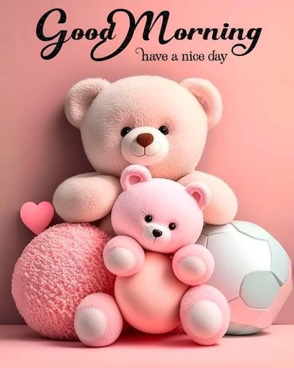 Good Morning Images Good Morning Images