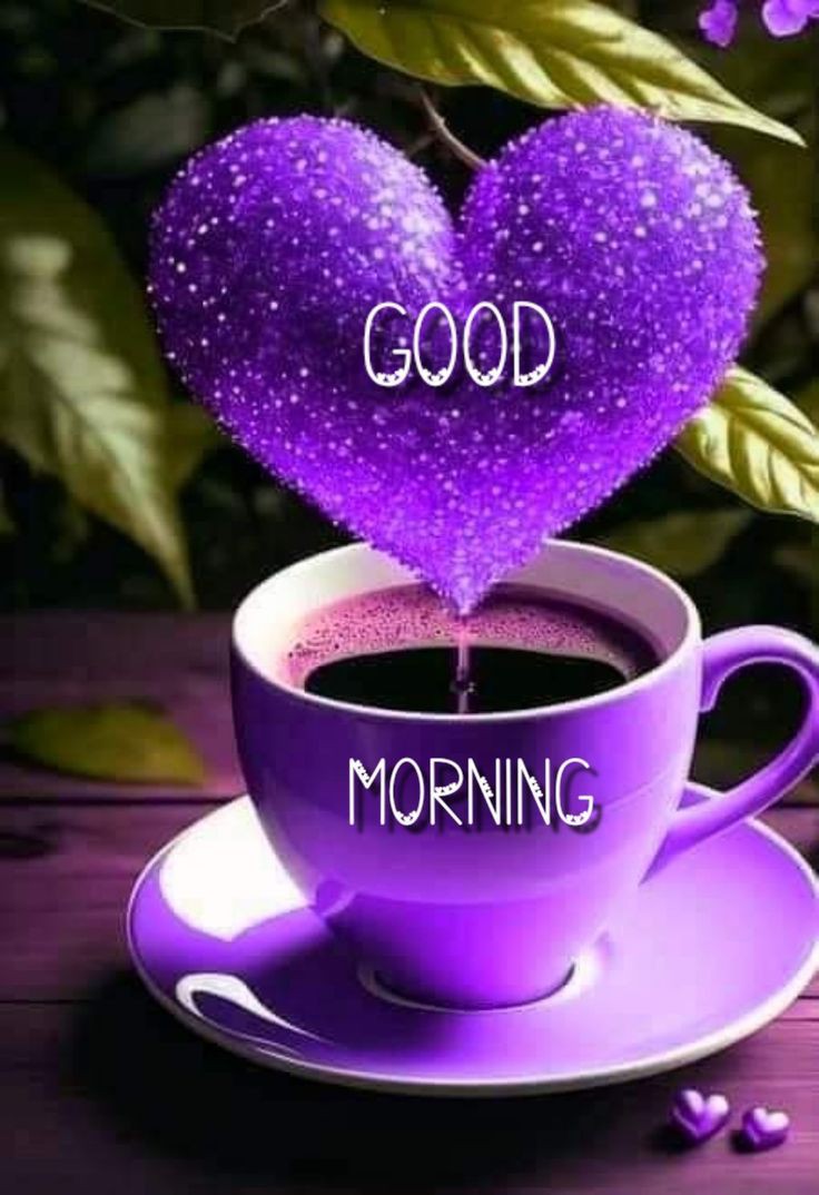 Good Morning Images Good Morning Images
