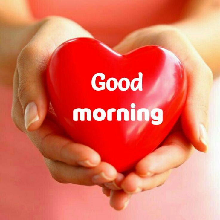 Good Morning Images Good Morning Images