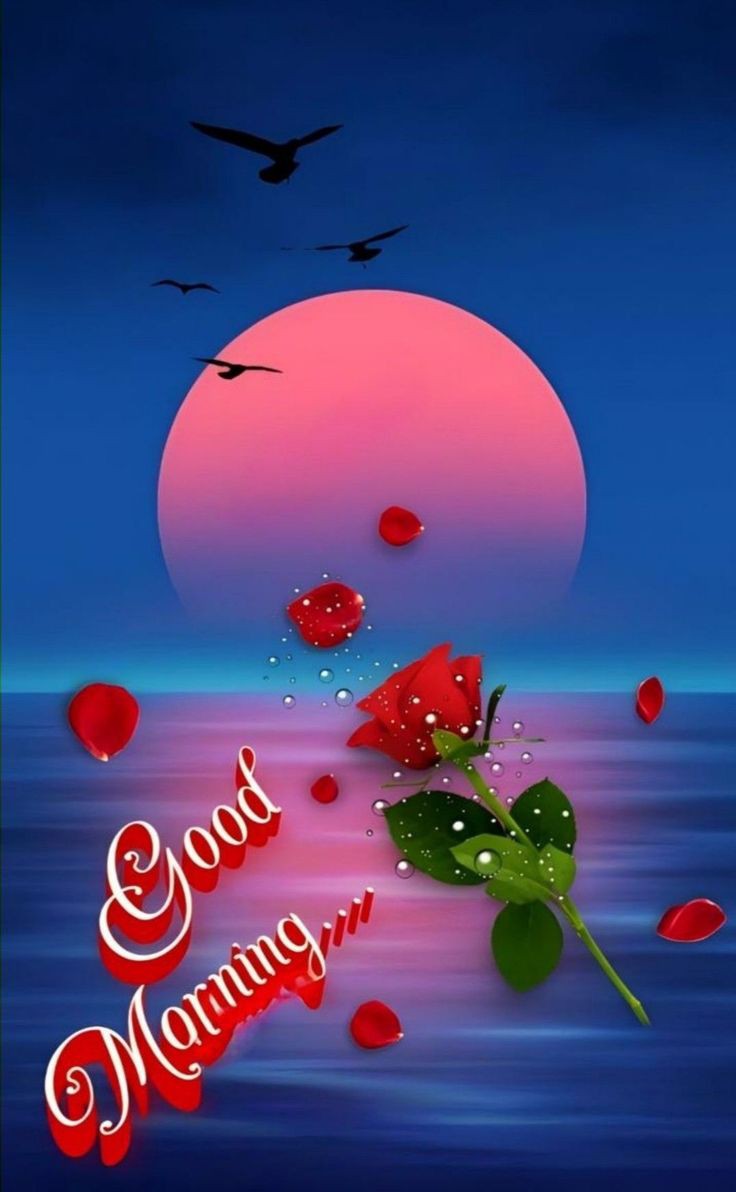 Good Morning Images Good Morning Images