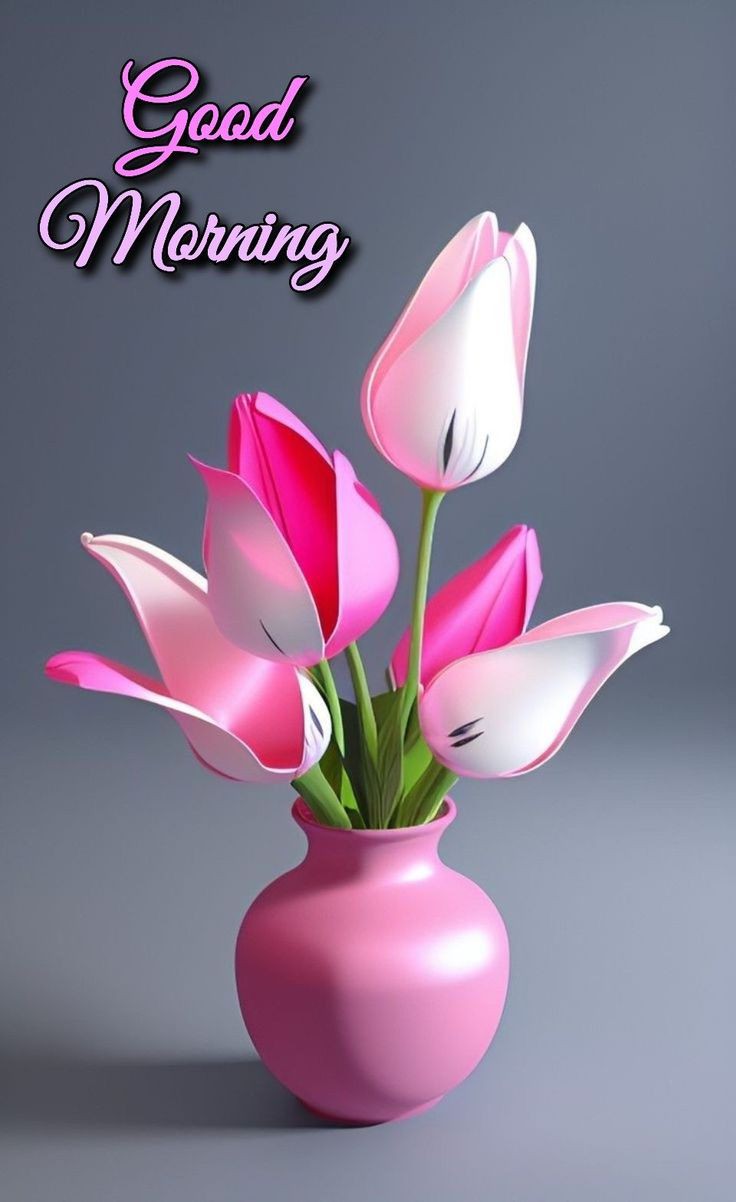 Good Morning Images Good Morning Images