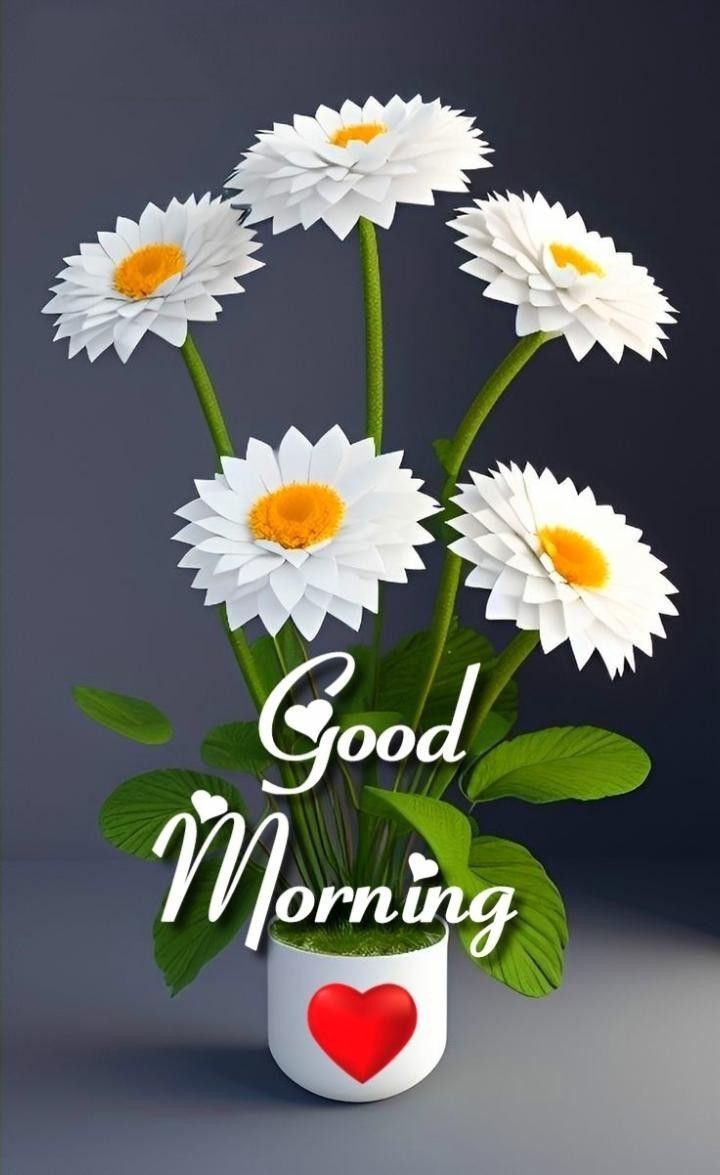 Good Morning Images Good Morning Images