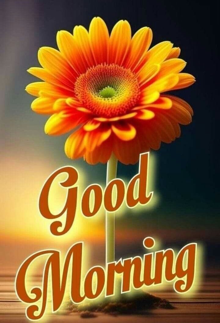Good Morning Images Good Morning Images