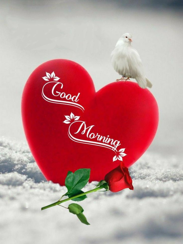 Good Morning Images Good Morning Images