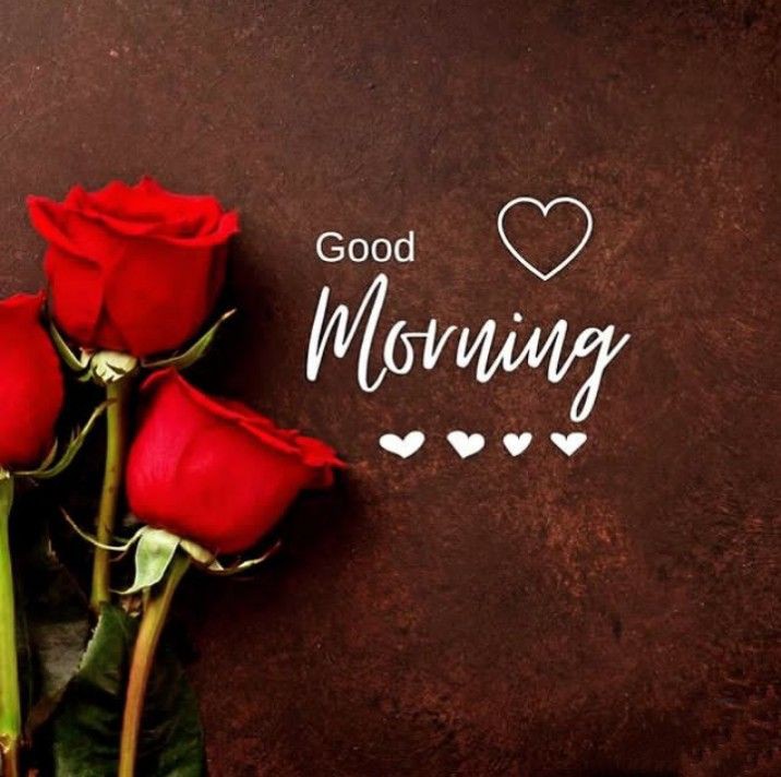 Good Morning Images Good Morning Images