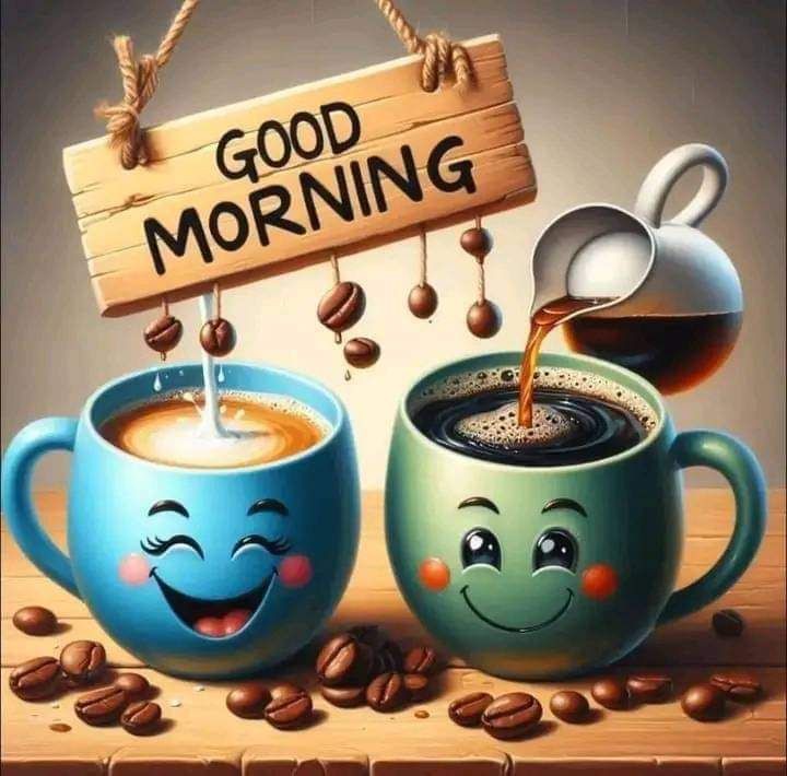 Good Morning Photos Good Morning Photos