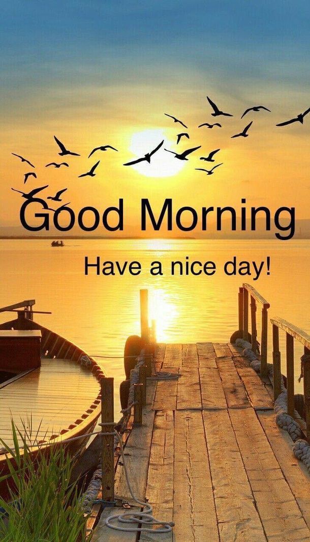 Good Morning Photos Good Morning Photos