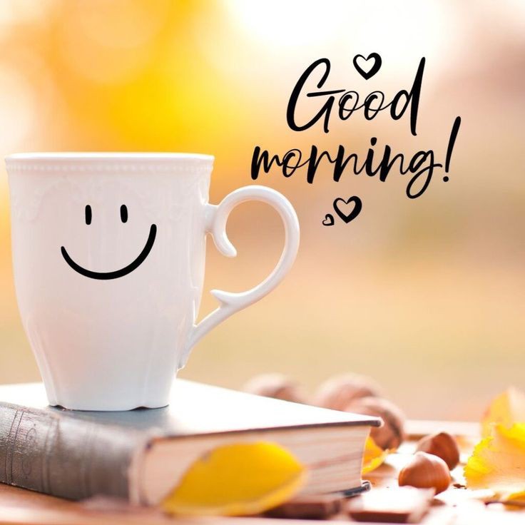 Good Morning Photos Good Morning Photos