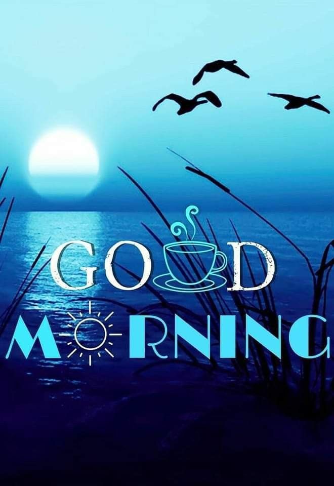 Good Morning Photos Good Morning Photos