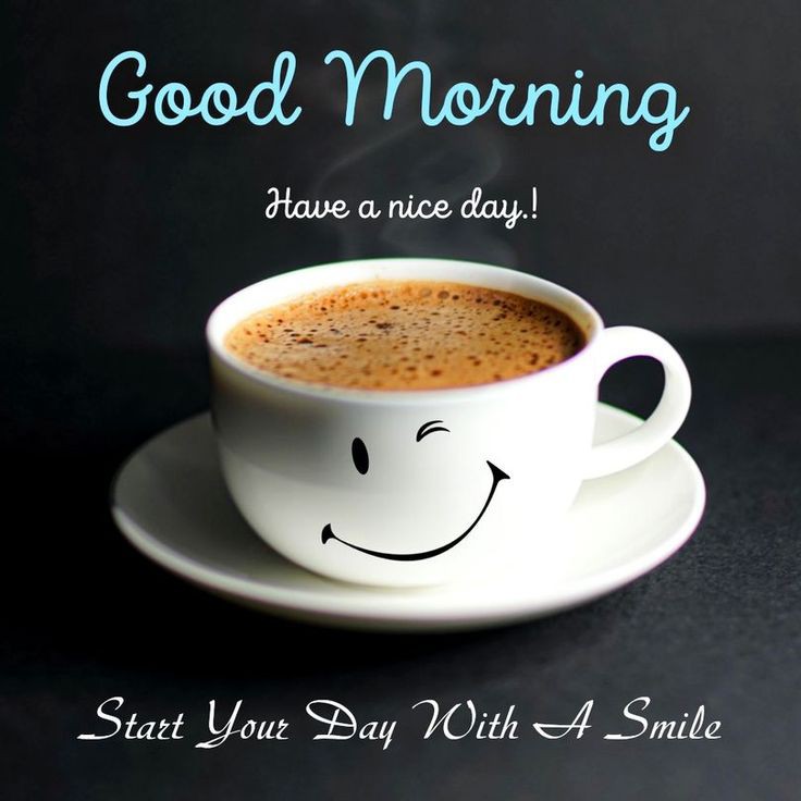 Good Morning Photos Good Morning Photos