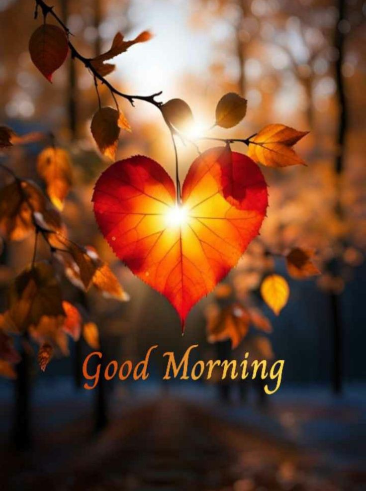 Good Morning Pics Good Morning Pics