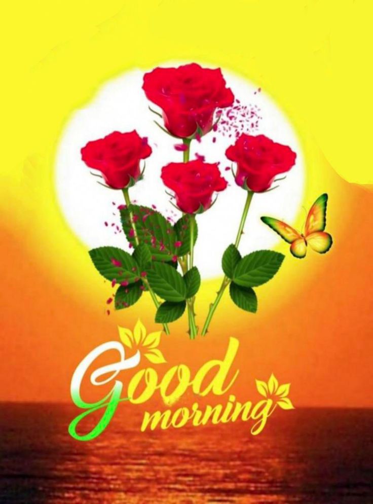 Good Morning Pics Good Morning Pics