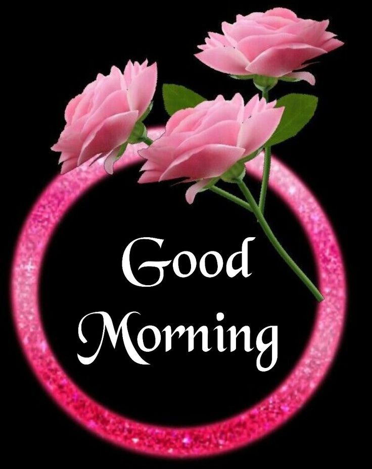 Good Morning Pics Good Morning Pics
