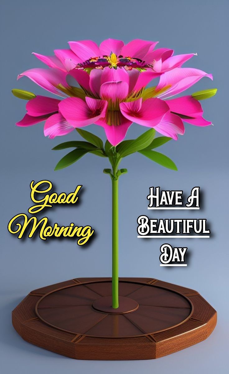 Good Morning Pics Good Morning Pics