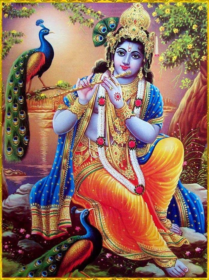 Krishna DP