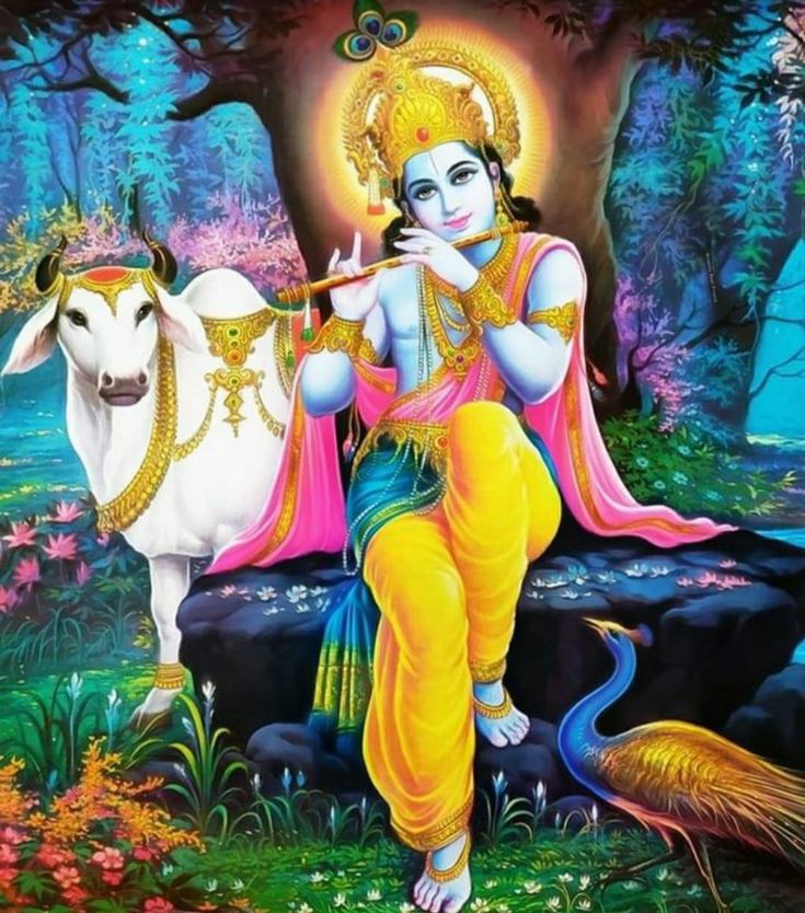 Krishna DP