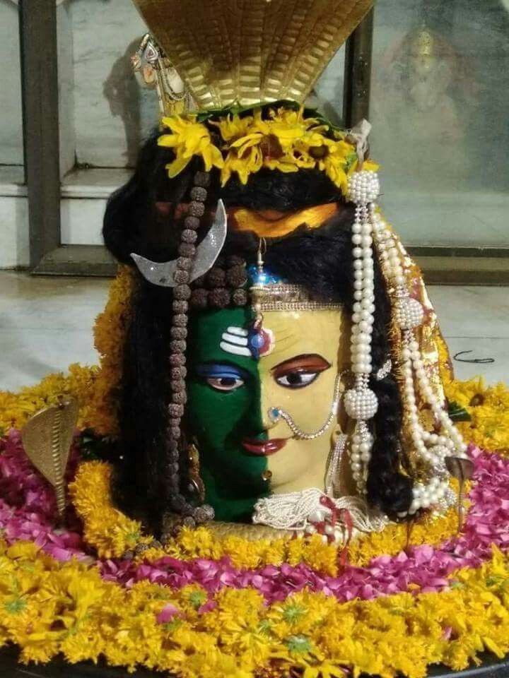 Original Shivling DP