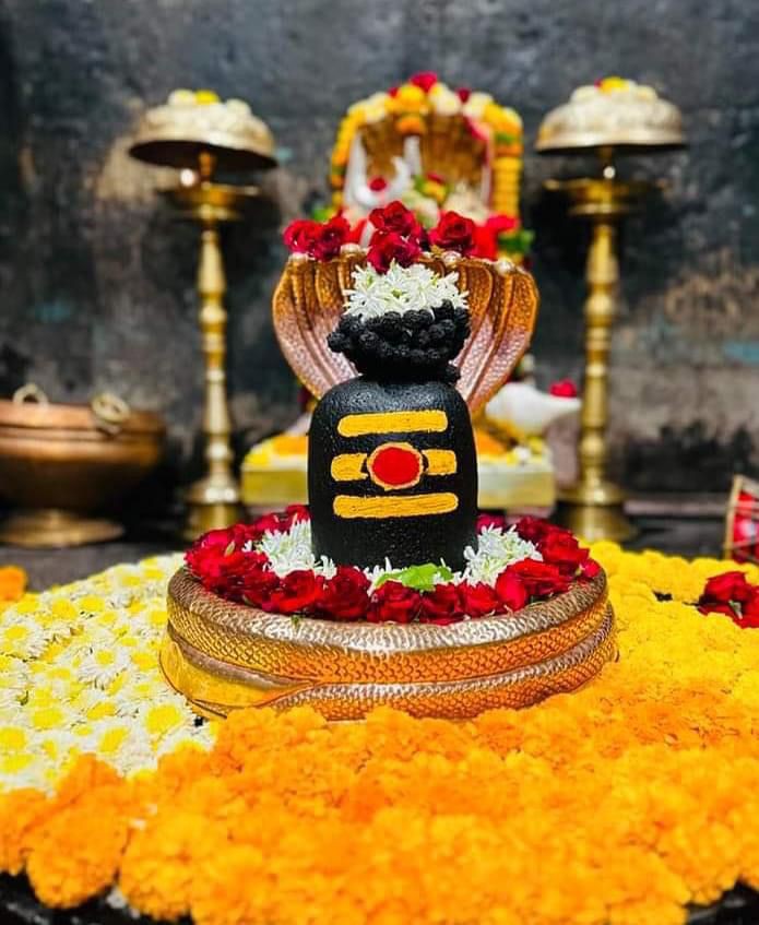 Original Shivling Images