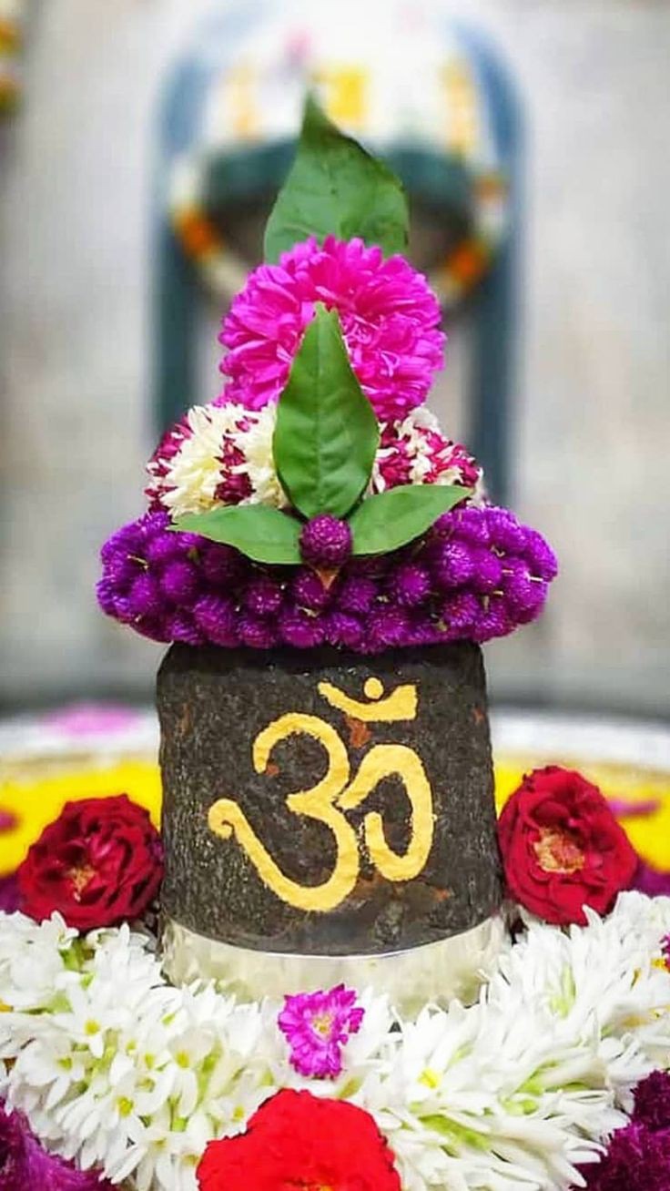 Original Shivling Images