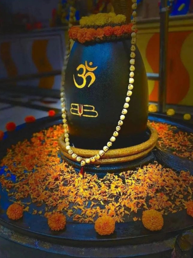 Original Shivling Images