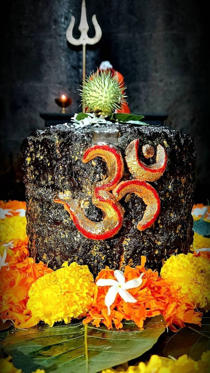 Original Shivling Photos