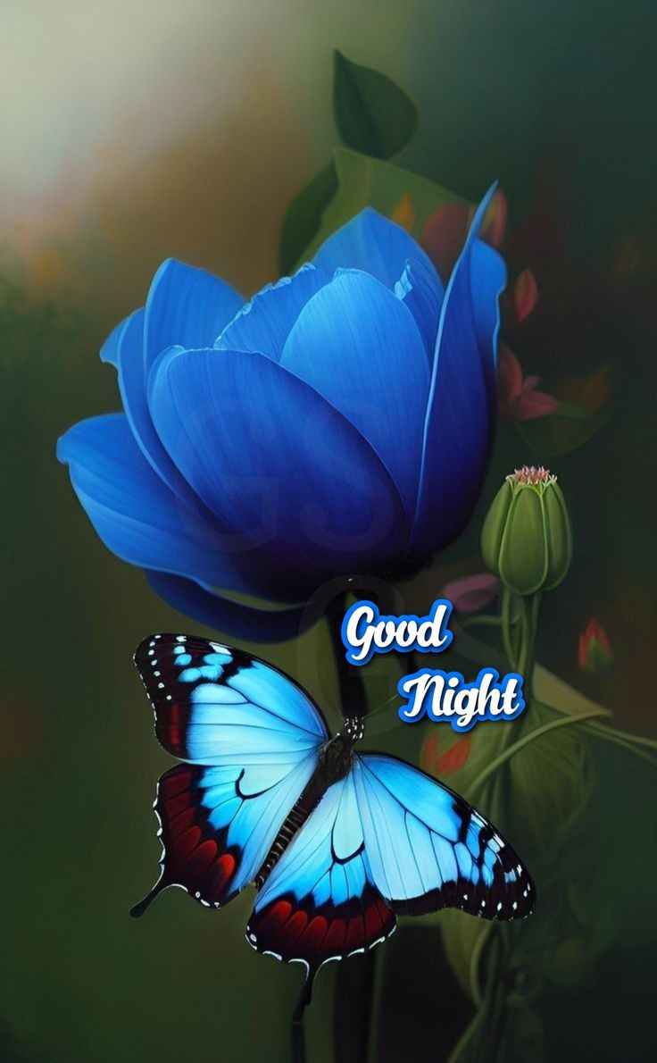 Beautiful Good Night Images