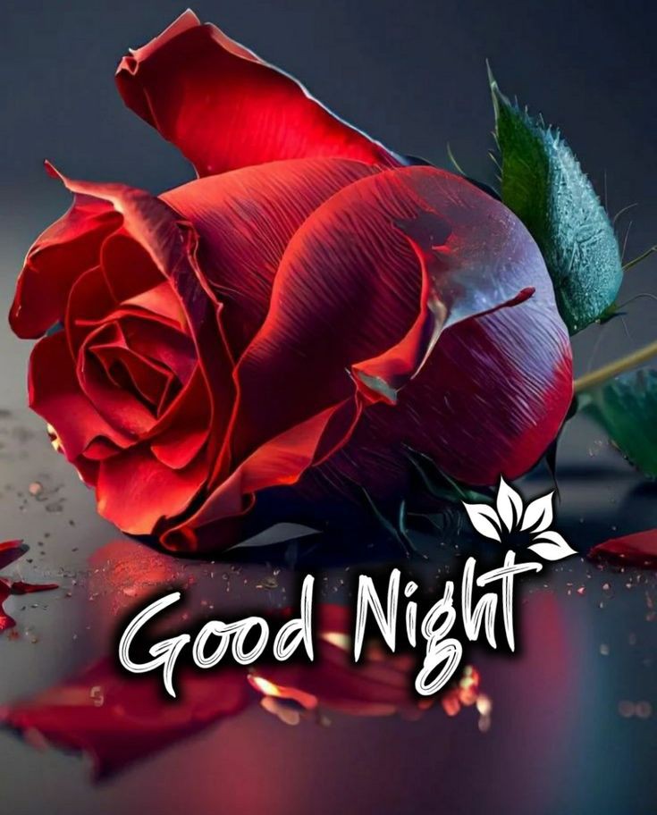 Beautiful Good Night Images