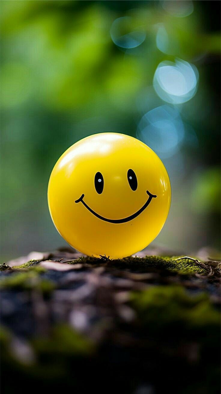 Smile DP