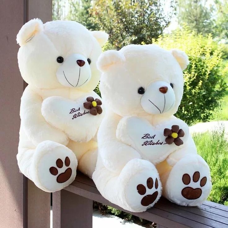 Teddy Bear Images For DP